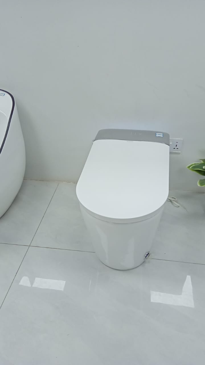 Smart Toilet