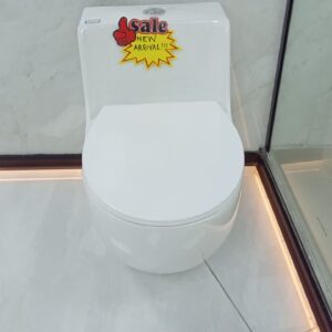 Modern One-Piece Toilet